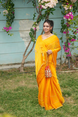 Jimmy Choo Saree