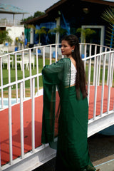 Holiday Green Saree