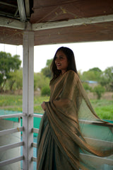 Bollywood Golden Saree