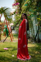 Greece Choo Saree in Red