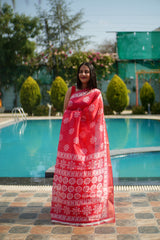 Rangoli Cotton Saree
