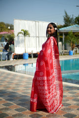 Rangoli Cotton Saree