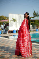 Rangoli Cotton Saree