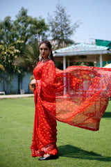 Sequence Glass Chiffon Saree