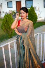 Bollywood Fandy Chiffon Saree