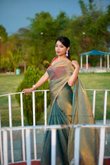 Bollywood Fandy Chiffon Saree