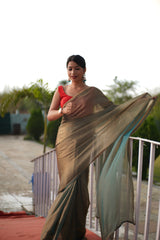 Bollywood Fandy Chiffon Saree