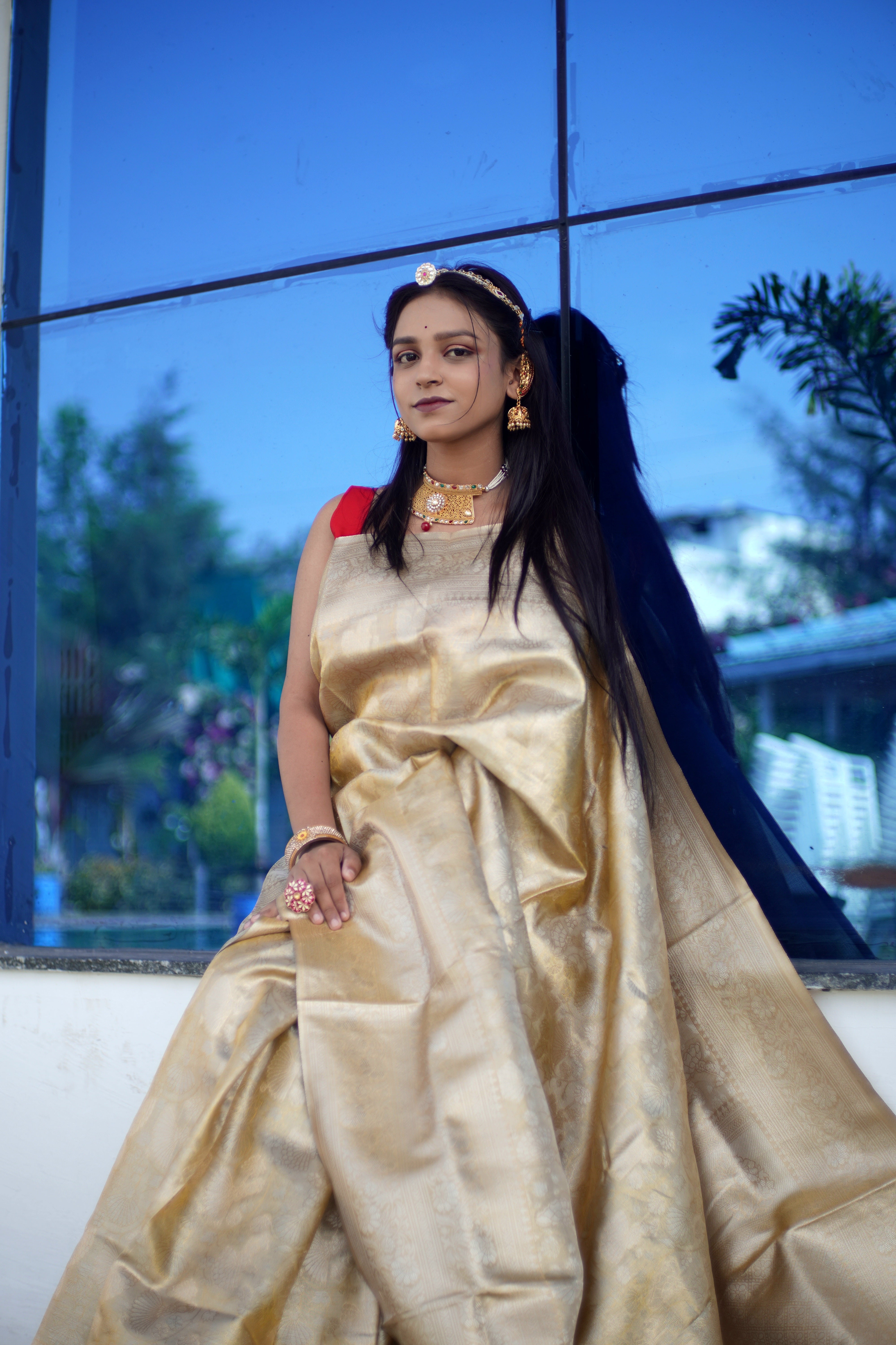 Premium Kanjivaram Silk Saree