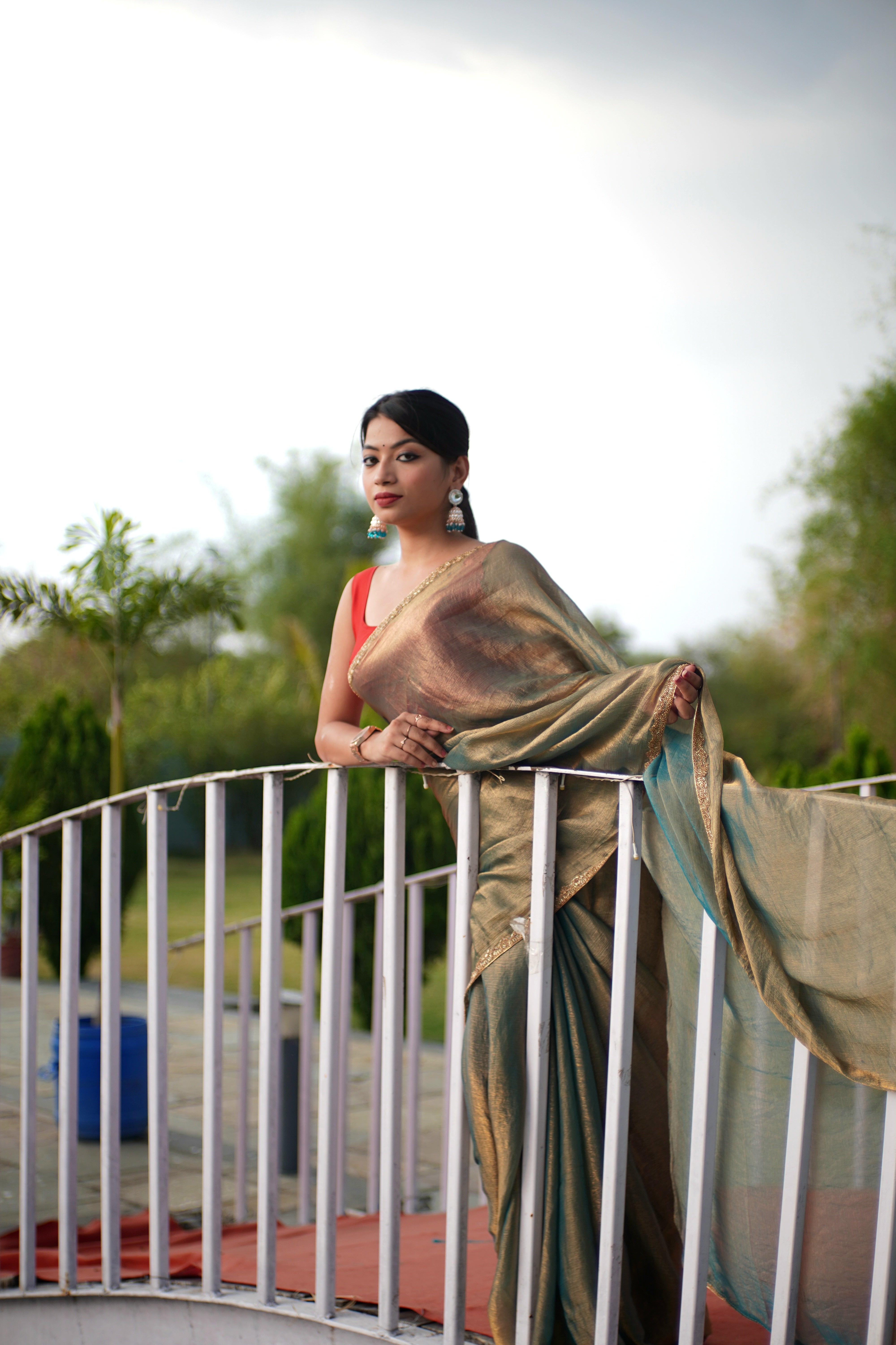 Bollywood Fandy Chiffon Saree