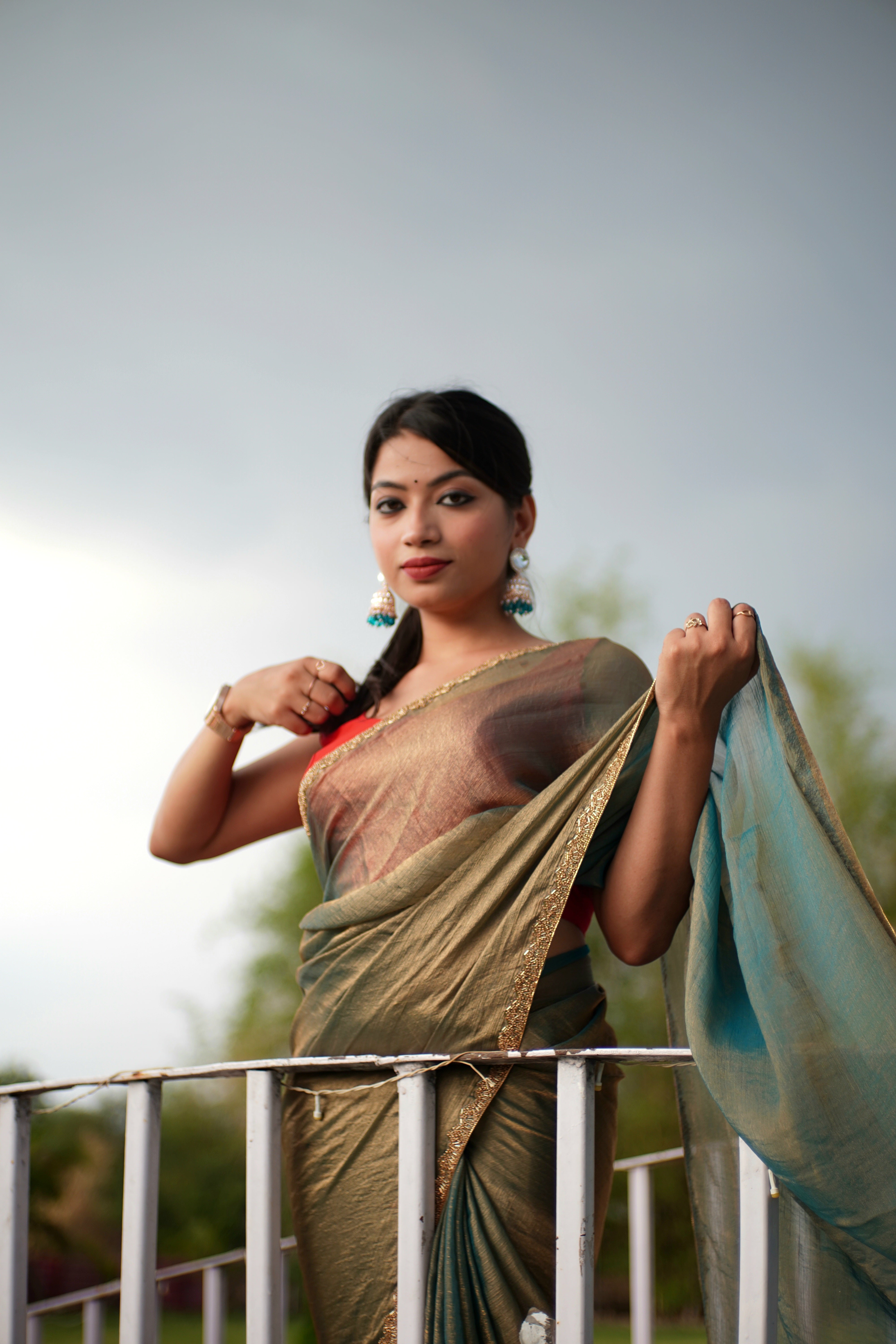 Bollywood Fandy Chiffon Saree