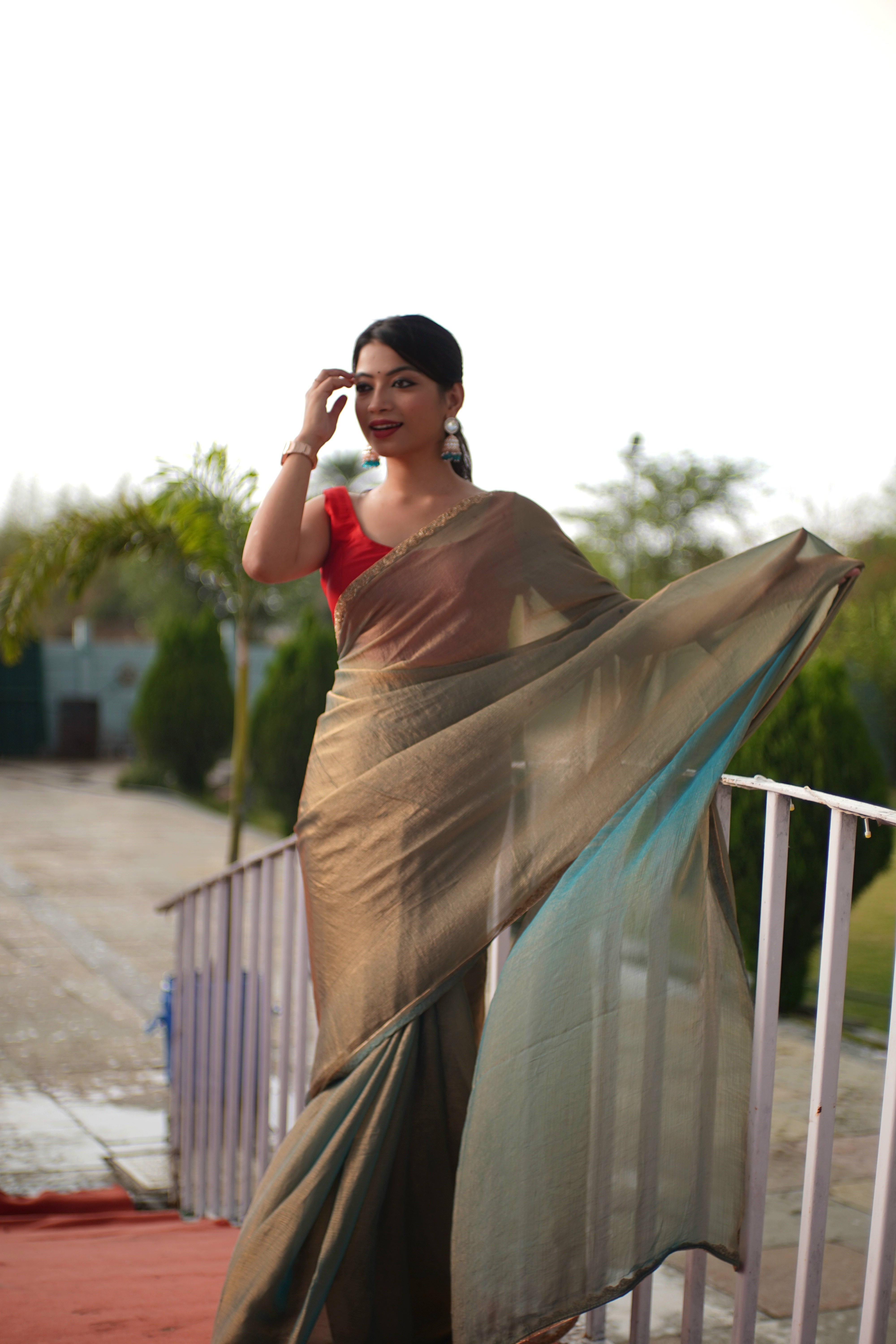 Bollywood Fandy Chiffon Saree